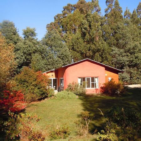 Whispering Spirit Holiday Cottages & Mini Ponies Franklin Luaran gambar