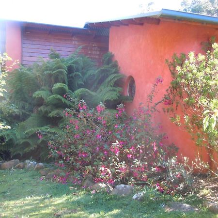 Whispering Spirit Holiday Cottages & Mini Ponies Franklin Luaran gambar