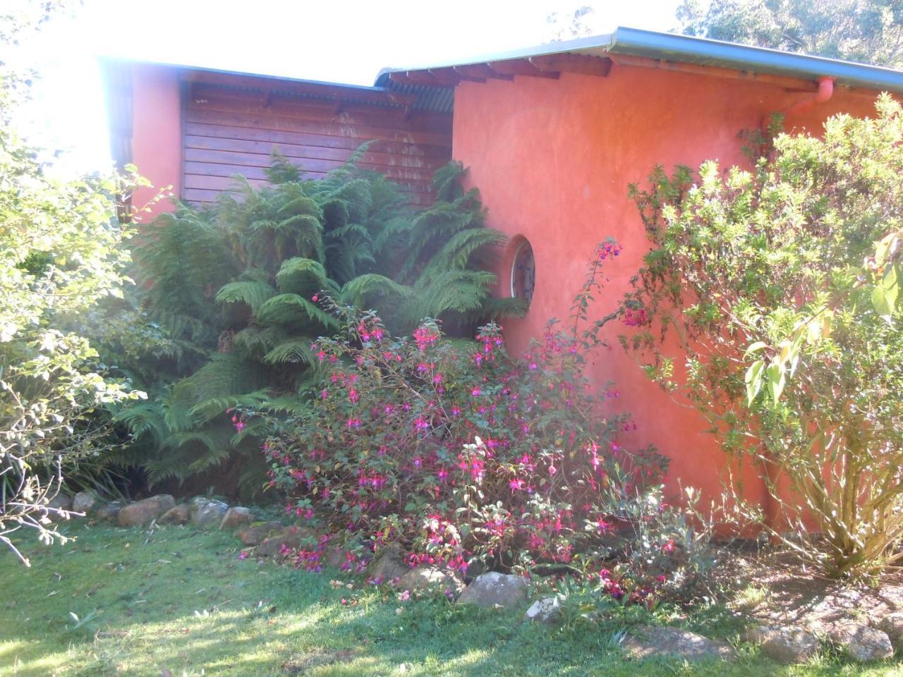 Whispering Spirit Holiday Cottages & Mini Ponies Franklin Luaran gambar