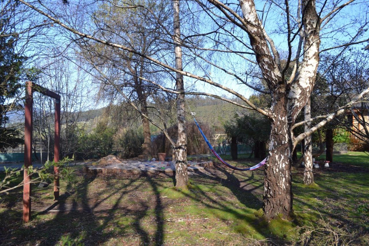 Whispering Spirit Holiday Cottages & Mini Ponies Franklin Luaran gambar